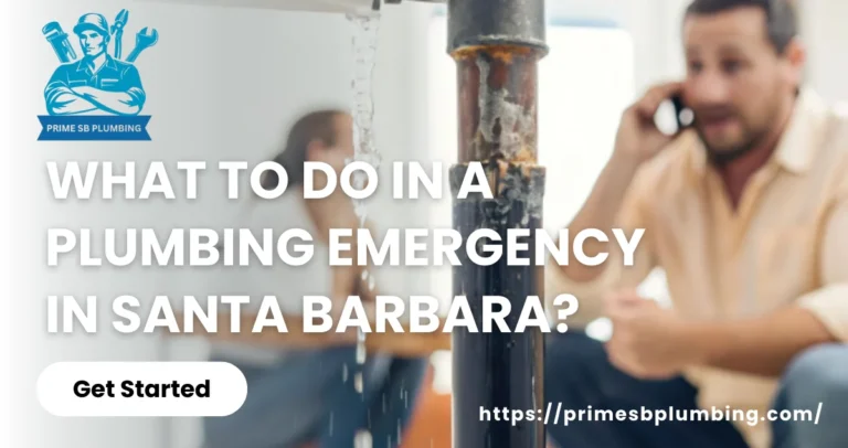 What to Do in a Plumbing Emergency in Santa Barbara?